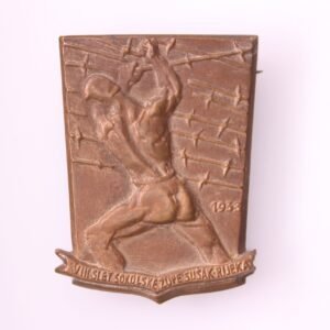 YUGOSLAVIA Sokol - Hawk Association / 1933 Sušak Rijeka Gathering / vintage badge