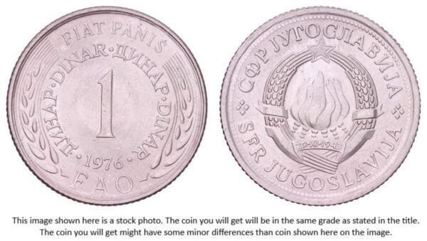 YUGOSLAVIA 1 dinar 1976 / FAO / UNC