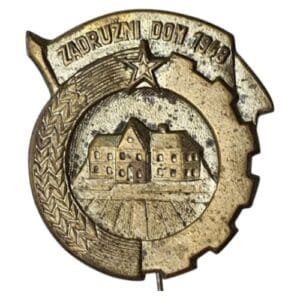 YUGOSLAVIA 1948 Community House Construction Labour Action vintage lapel pin