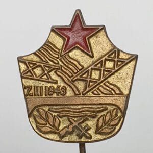 YUGOSLAVIA WWII Neretva Battle / Partisans / vintage lapel pin