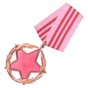 ALBANIA Order for Distinguished State and Community Service, 3rd class