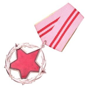 ALBANIA Order for Distinguished State and Community Service, 2nd class