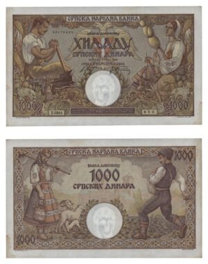 SERBIA 1000 dinara 1942 / WWII issue / XF+