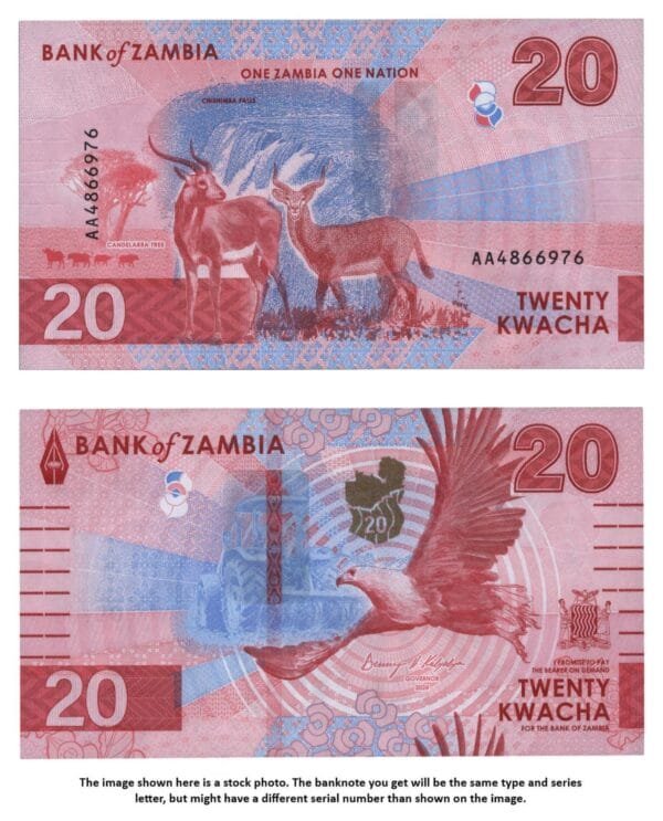 ZAMBIA 20 kwacha 2024 UNC