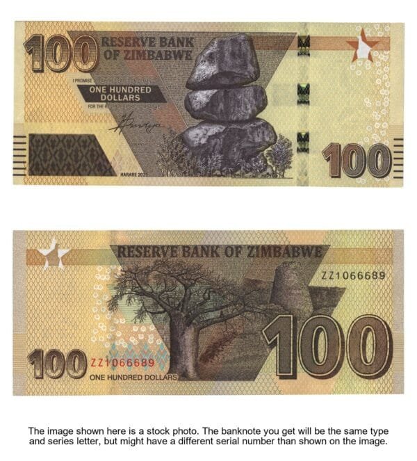 ZIMBABWE 100 dollars 2021 UNC