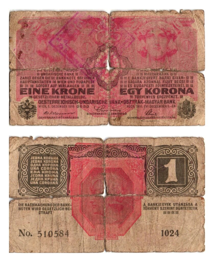 CROATIA 1 krone ND(1919) / With unreadable seal for Dalmatia / large tears / VG