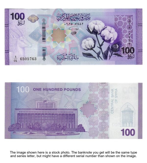 SYRIA 100 pounds 2025 UNC