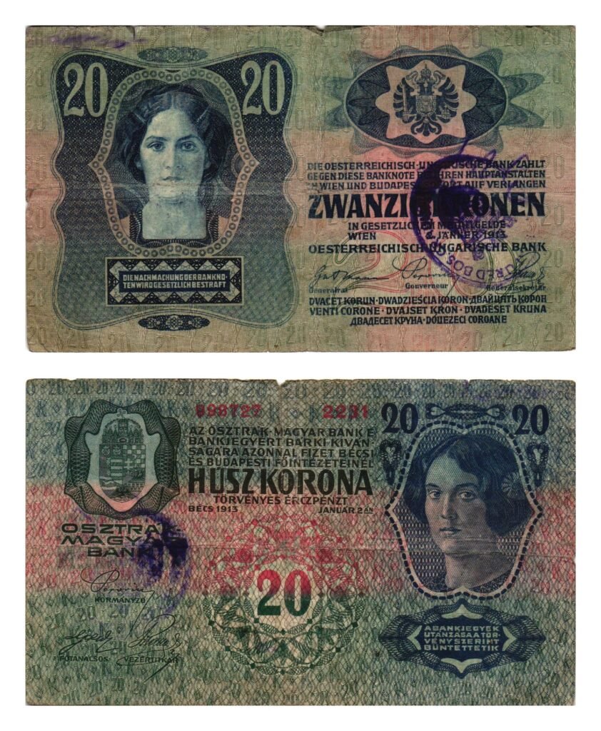 BOSNIA AND HERZEGOVINA 20 kronen ND(1919) / With BOSANSKA GRADIŠKA seal / VF