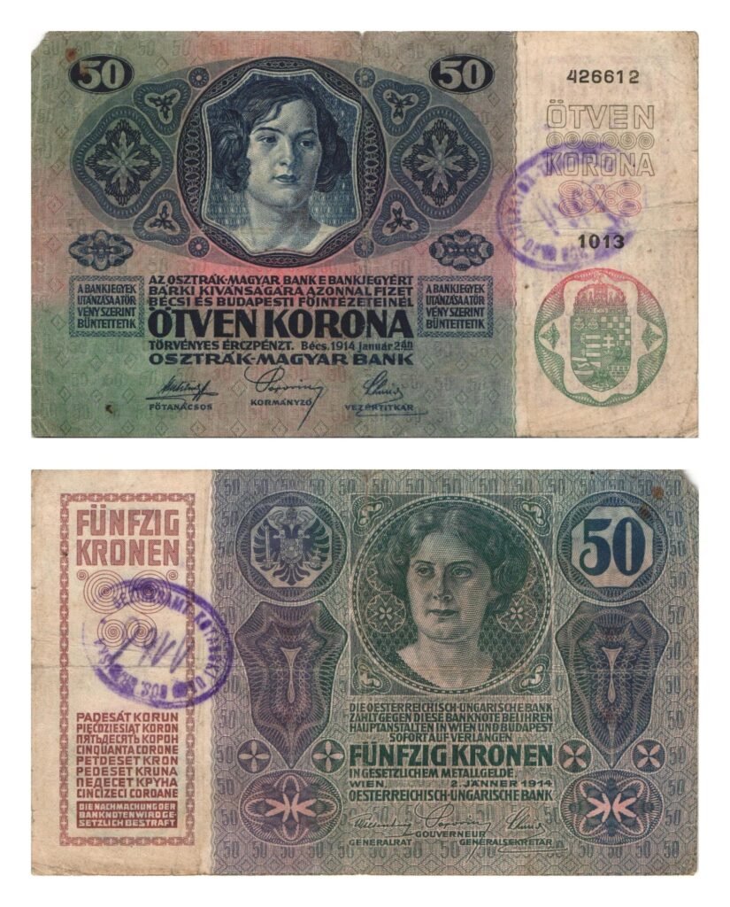 BOSNIA AND HERZEGOVINA 50 kronen ND(1919) / With seal Bosanska Gradiška / tears / VF-