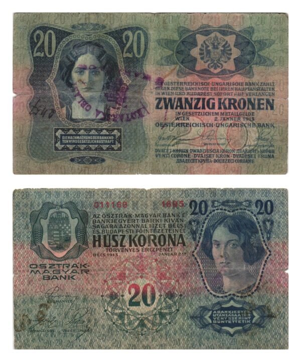 CROATIA 20 kronen ND(1919) / With seal Karlovac / tears / VF-