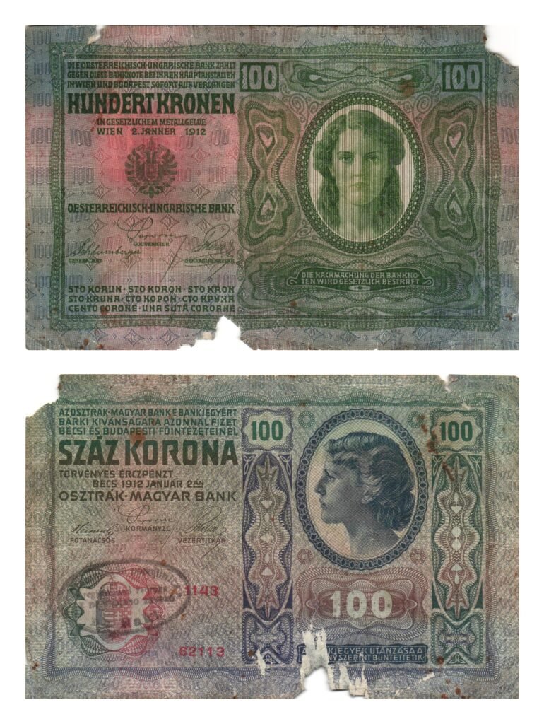 SLOVENIA 100 kronen ND(1919) / With seal Raka / parts missing / VG