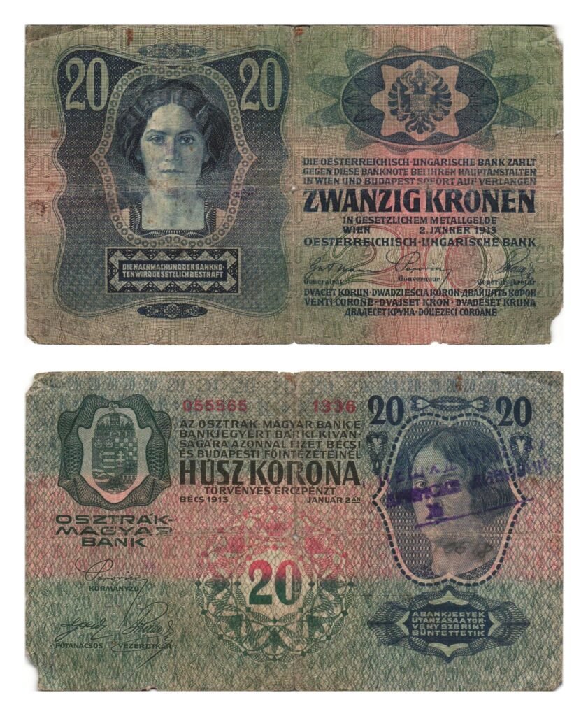 SERBIA 20 coronas SIN FECHA (1919) / Con sello: DRINSKA DIVIZIJA / MB